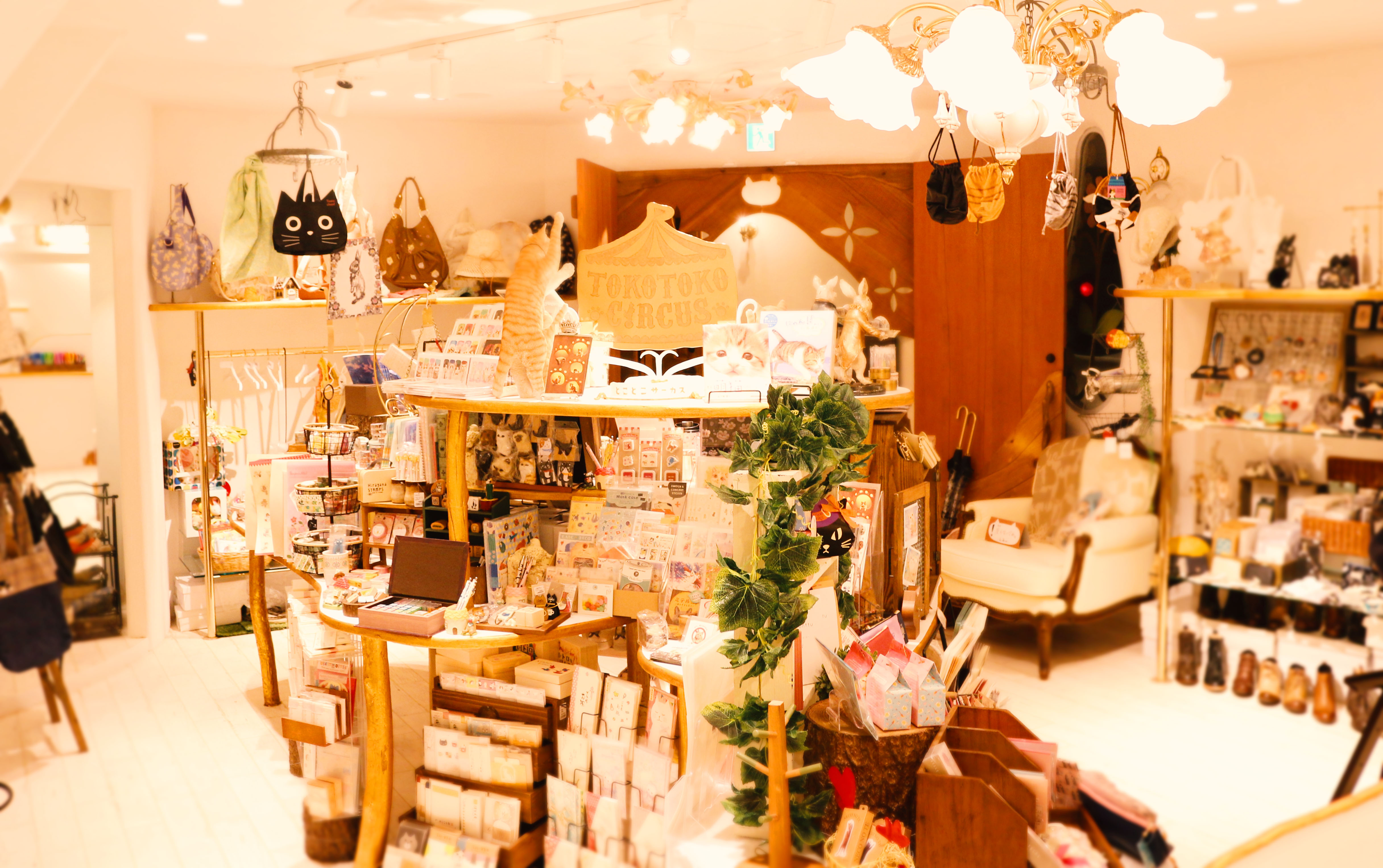 ショップスタッフ アルバイト 株式会社ねこのてカンパニー